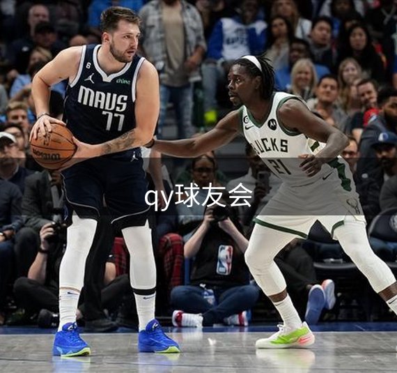 公司详情